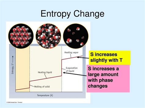 Toradh íomhá ar Entropy Definition Biology