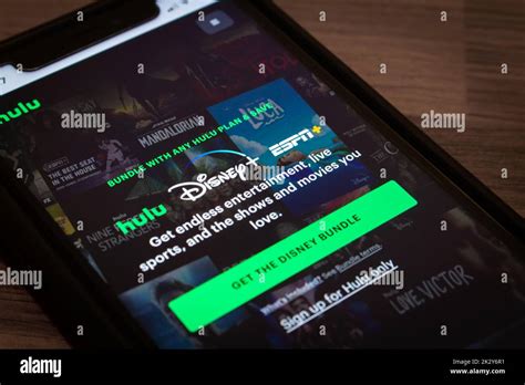 Afbeeldingsresultaten voor Disney Plus Streaming Website