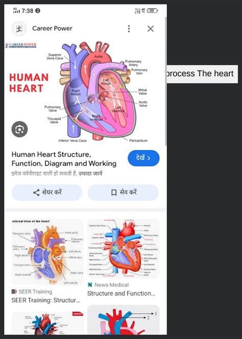 Image result for Life Processes Heart Diagram Class 10