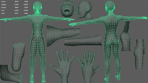 Afbeeldingsresultaten voor Retopology