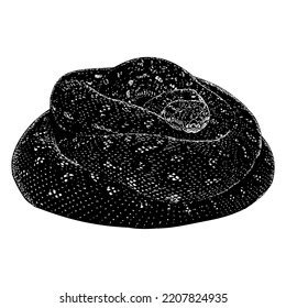 Afbeeldingsresultaten voor Diamond Python Realistic Drawings