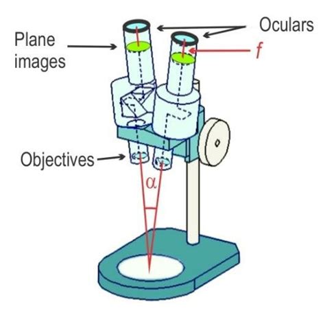 Image result for Stereo Microscope Magnification