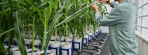 Afbeeldingsresultaten voor Plant Systems Biology Book