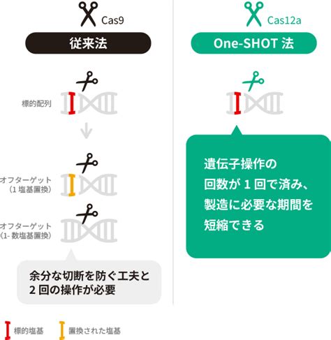 Image result for One Time Shot