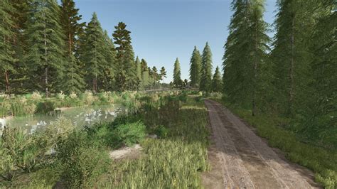 Image result for FS22 Forestry Map