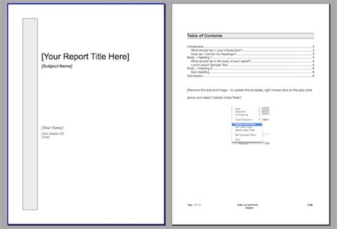 Assignment Report Template に対する画像結果