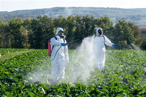 Image result for Pest Control Solution in Natural Farming