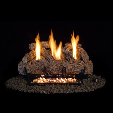 Image result for Remote Control Gas Logs