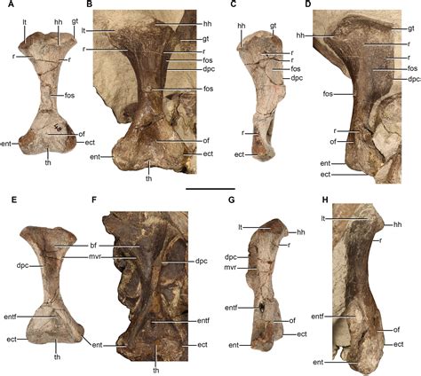 Afbeeldingsresultaten voor Decoding Examples