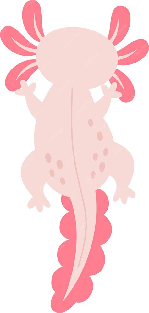 Image result for Funny Axolotl