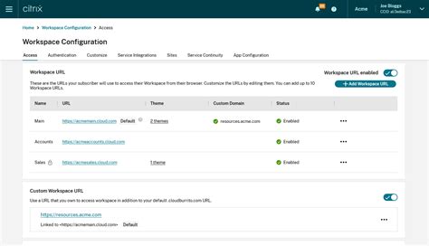 Toradh íomhá ar Citrix Workspace App URL