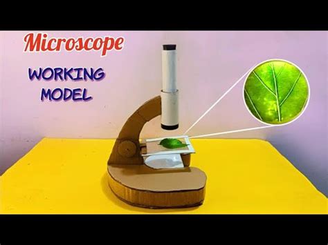 Image result for How to Make Microscope