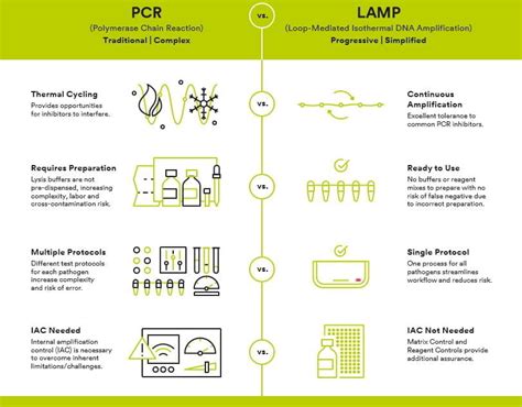 Lamp PCR に対する画像結果