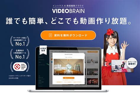 Image result for Video Brain