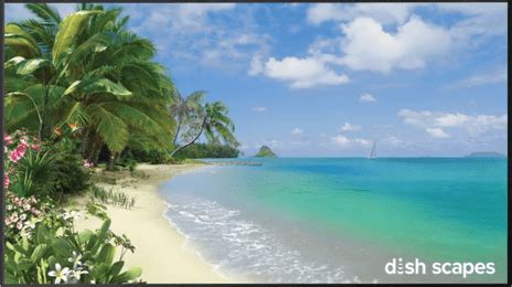 Image result for DishTV Scapes