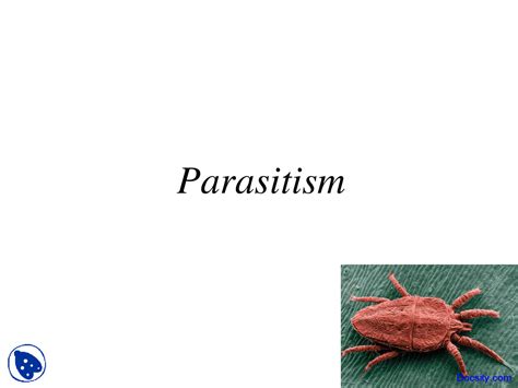 Image result for What Is Parasitism