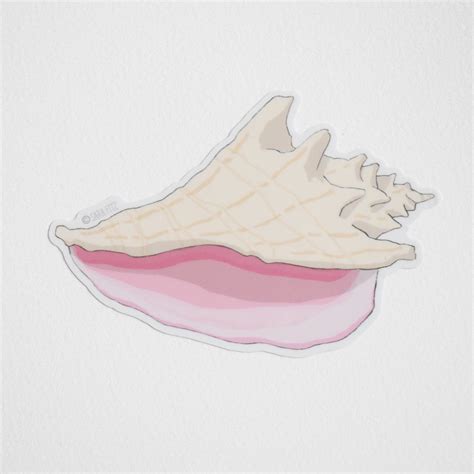 Afbeeldingsresultaten voor Conch Shell Stickers