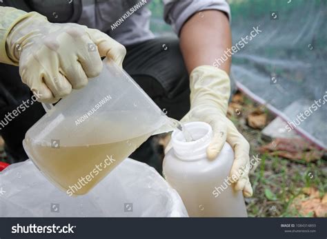 Composite Sampling at Beach に対する画像結果