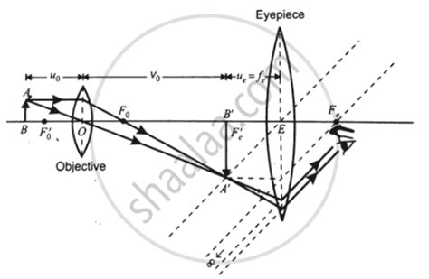 Image result for Magnifying Power of Compound Microscope
