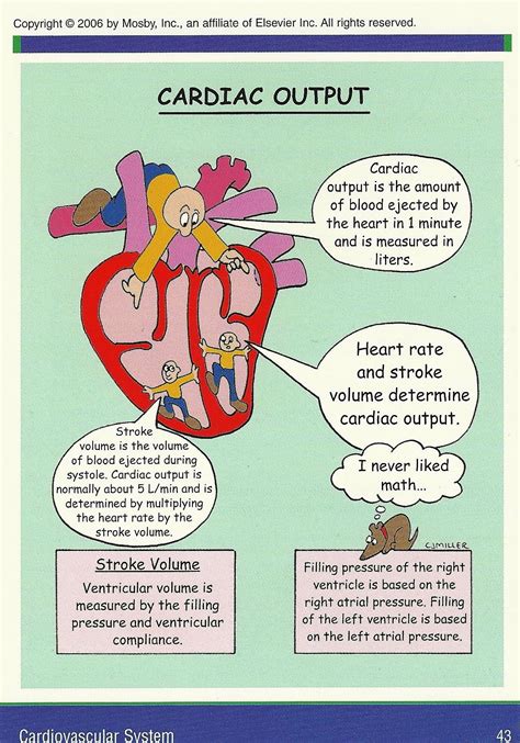 Cardiac Output Organs に対する画像結果
