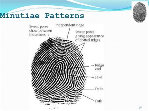 Toradh íomhá ar Fingerprint Core Examples