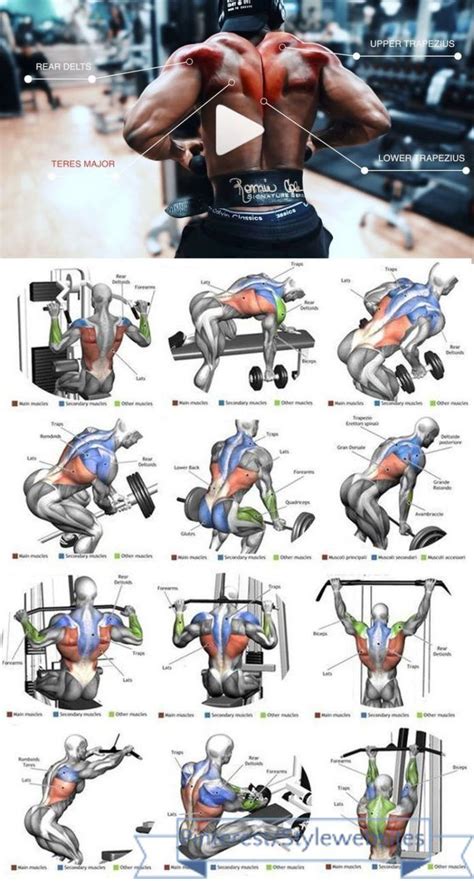 Image result for Back Muscle Machine Program