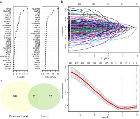 Afbeeldingsresultaten voor Machine Learning Algorithms Selection