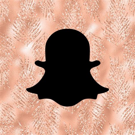 Image result for Snapchat App Icon iOS