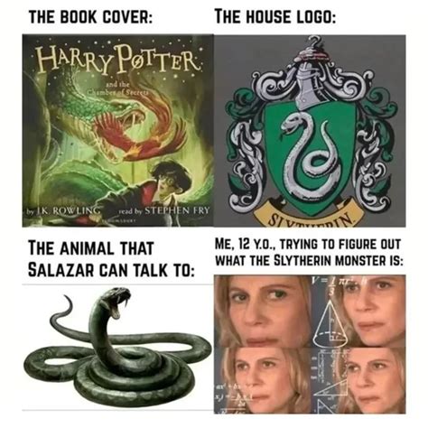 Image result for Harry Potter Python Meme