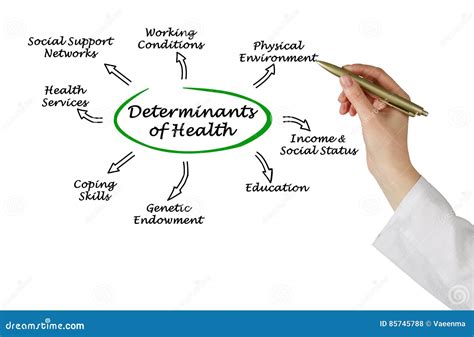 Toradh íomhá ar Determinants of Health