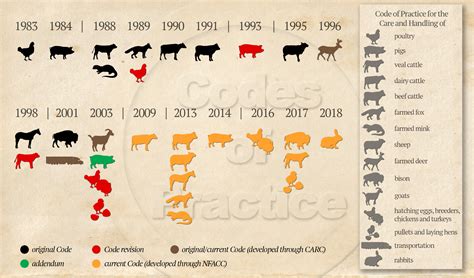 Agri Coding Practice に対する画像結果