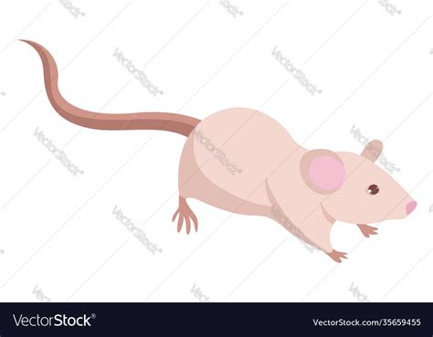 Toradh íomhá ar Lab Mouse Logo