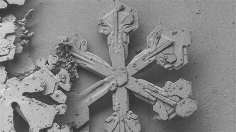Snowflake Under Electron Microscope에 대한 이미지 결과