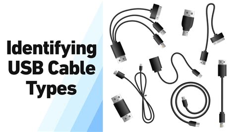 Image result for Different USB Cables Types