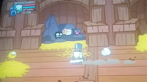 Image result for Castle Crashers Secrets