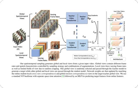 Ai Video Example Classification に対する画像結果