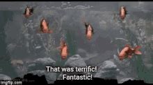 Afbeeldingsresultaten voor Monty Python Fish Slap GIF