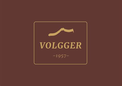 Image result for Volgger Logo