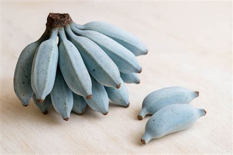 Toradh íomhá ar Blue Java Bananas