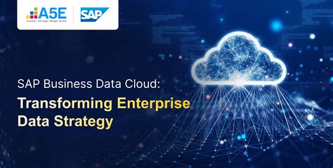 Image result for SAP Data Strategy