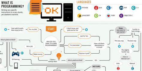 Image result for Coding Infographic