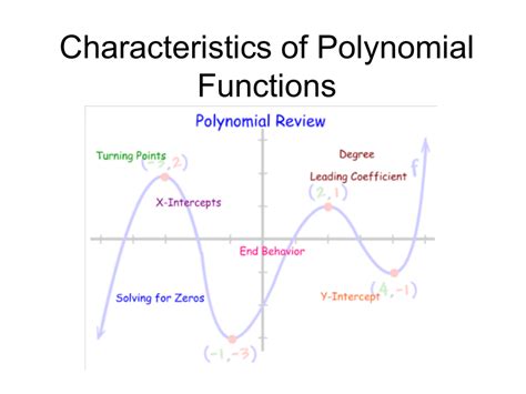 Image result for Math Polynomial Function