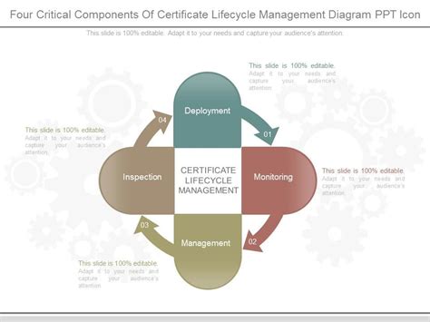 Image result for Life Cycle Management Detailed Components