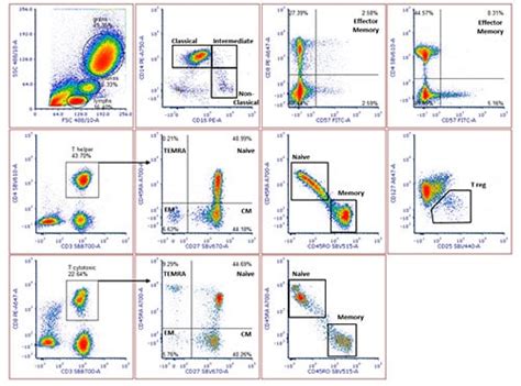 Afbeeldingsresultaten voor Multicolor Flow Cytometry
