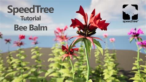 Image result for SpeedTree Tutorial