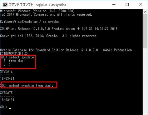Oracle SQL*Plus User-Defined Function に対する画像結果