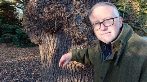 Image result for Relf WikiTree