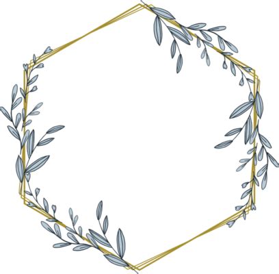 Hexagonal Frame Png に対する画像結果