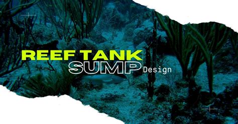 Image result for Reef Tank Sump Plumbing