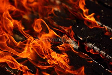 Image result for Fire Extinguisher Inspection Card